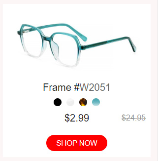 T Frame #W2051 o 6 $2.99 e SHOP NOW 